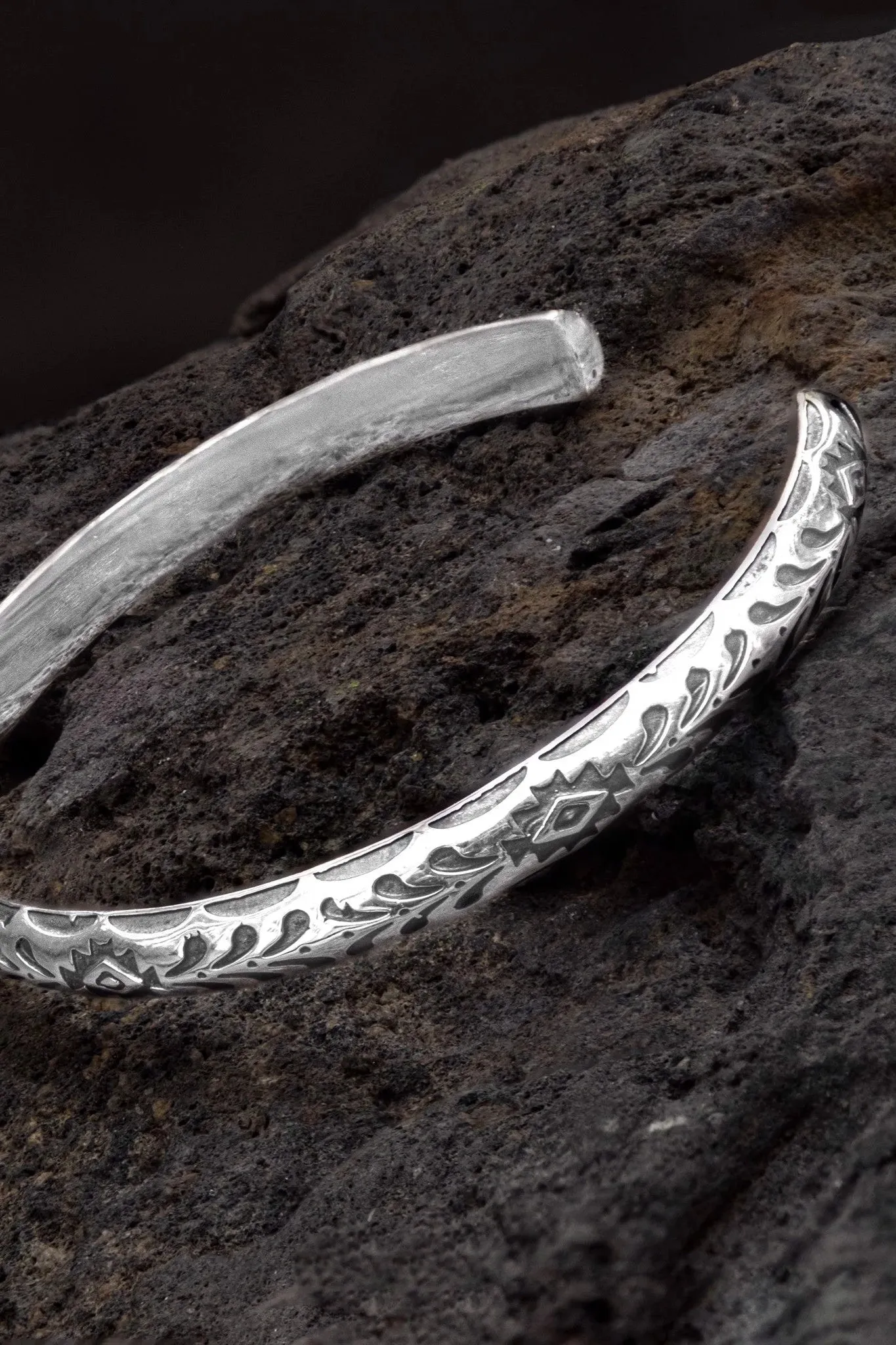 Ancient Dinosaurs Bracelet