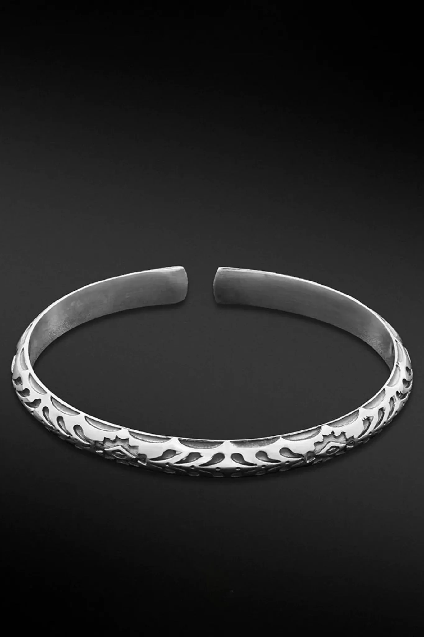 Ancient Dinosaurs Bracelet