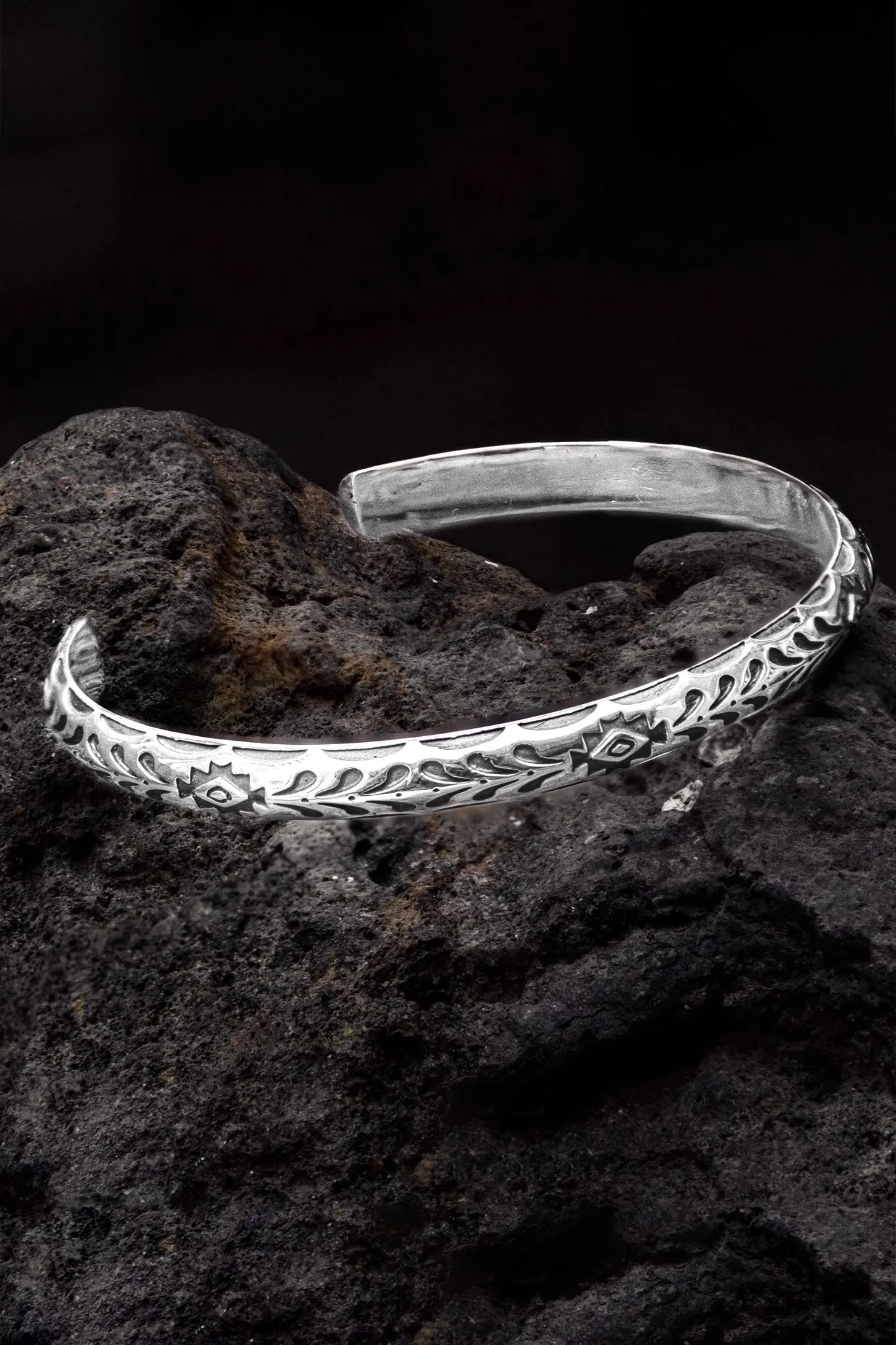 Ancient Dinosaurs Bracelet