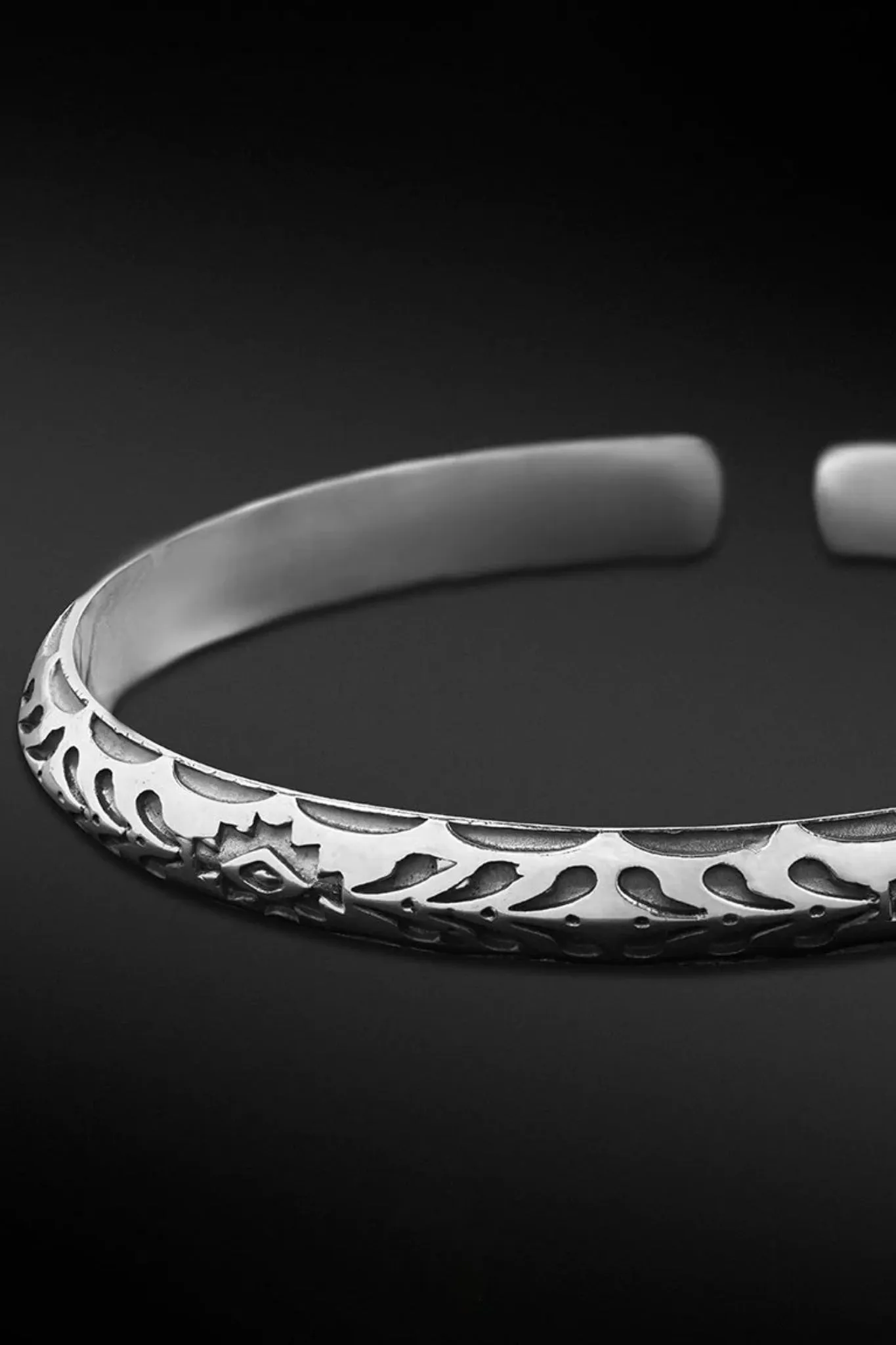Ancient Dinosaurs Bracelet