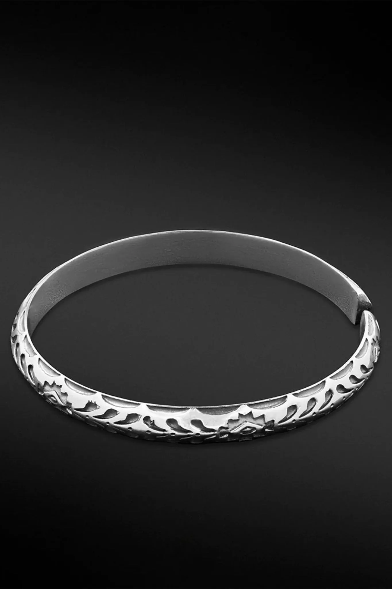 Ancient Dinosaurs Bracelet