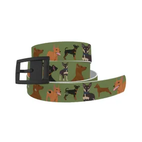 C4- Belt (Miniature Pincher)
