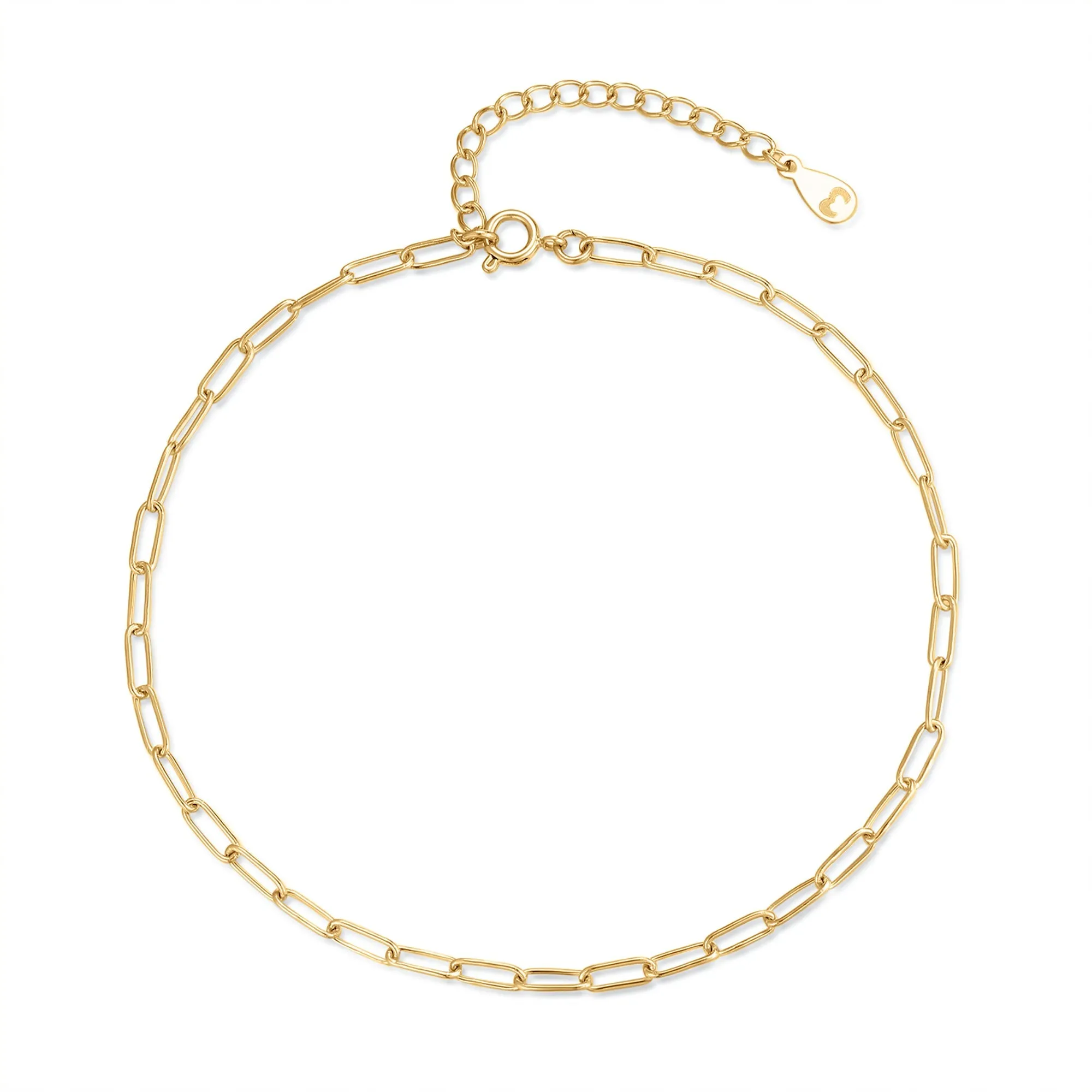 "Fine Link" Anklet