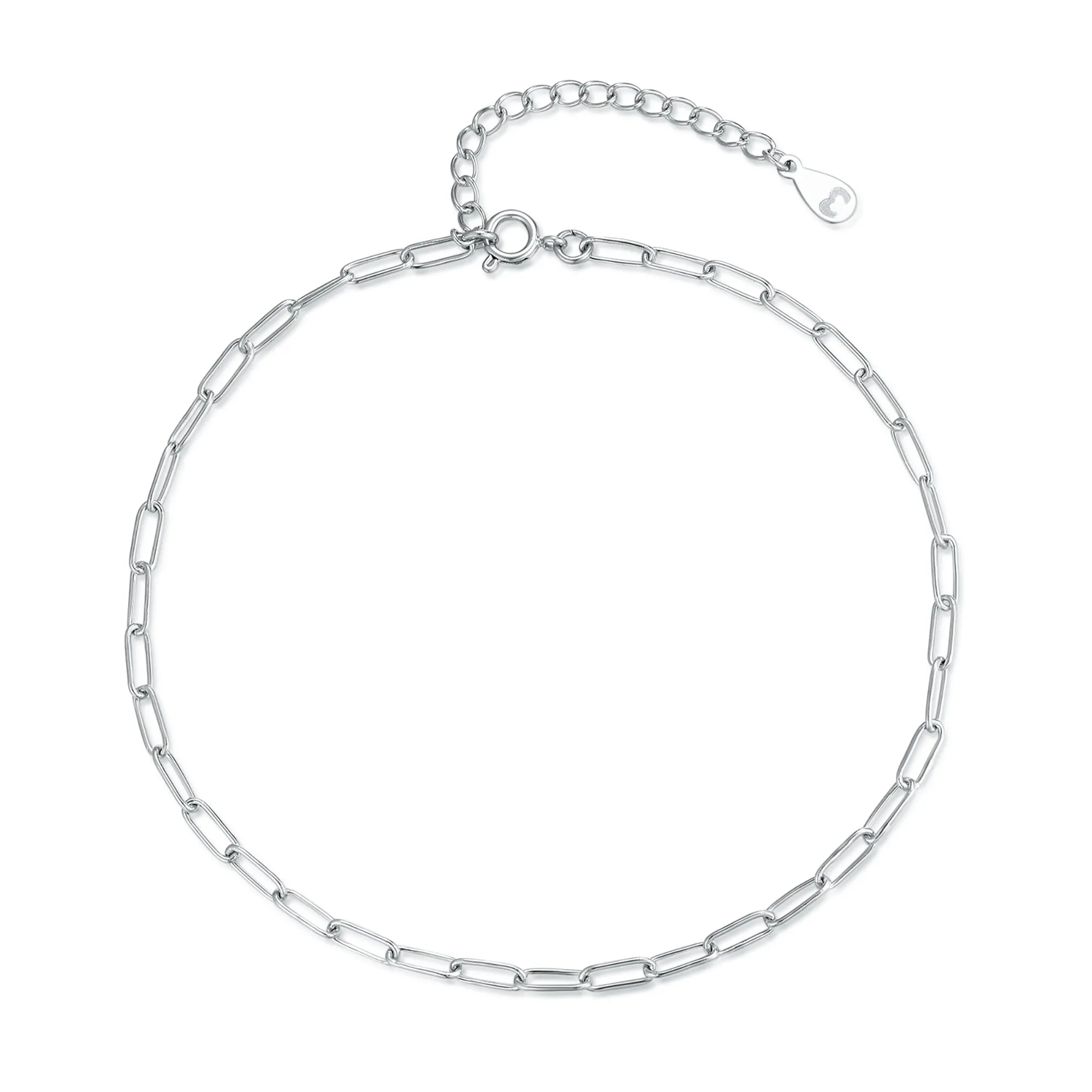 "Fine Link" Anklet
