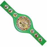 WBC WORLD BOXING CHAMPIONSHIP REPLICA TITLE BELT HIGH QUALITY ADULT SIZE